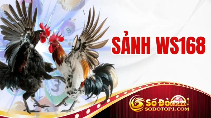 Sảnh WS168